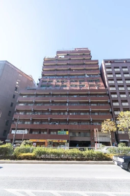外観 ライオンズマンション歌舞伎町の外観