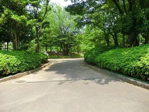 藤和亀有コープの周辺環境