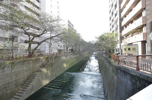 サンテミリオン目黒東山の周辺環境