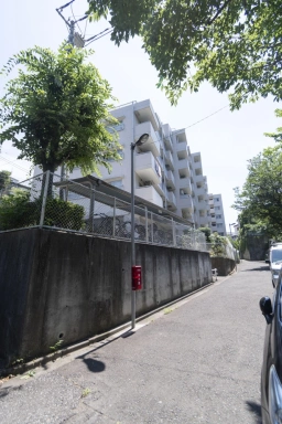 常盤台パークハイツの周辺環境