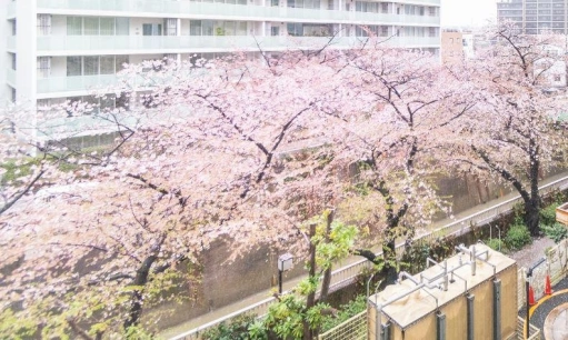 カーネ西早稲田の周辺環境