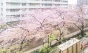 カーネ西早稲田の周辺環境