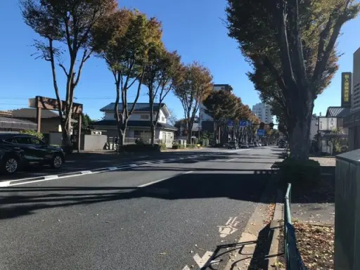 周辺環境 ファミニュ―石神井の周辺環境