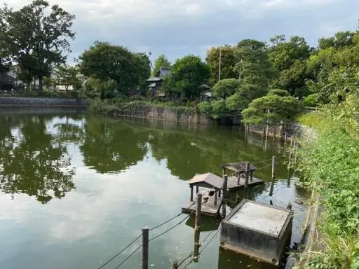 周辺環境 ライオンズマンション学芸大学第3の周辺環境