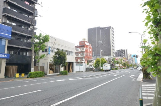 レヴアンの周辺環境
