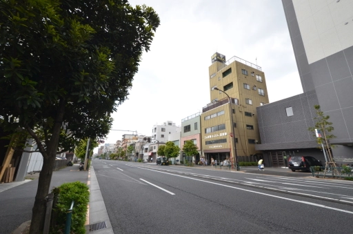 レヴアンの周辺環境