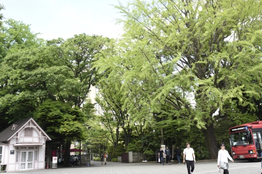 アーバンヒルズ早稲田の周辺環境