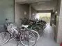 ワコーレ新小岩の駐輪場
