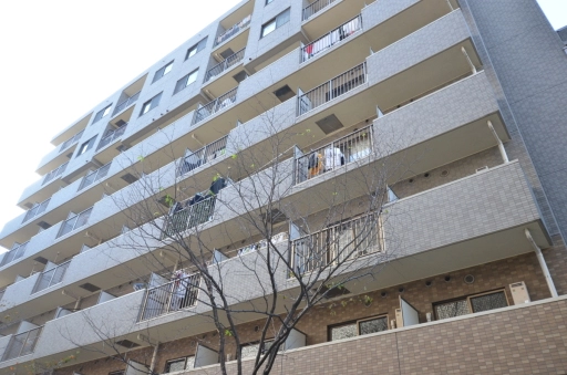 メゾンエクレーレ新宿西戸山の外観