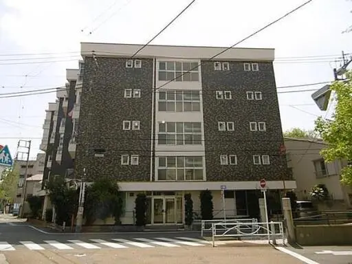 外観 ニュー小山マンションの外観