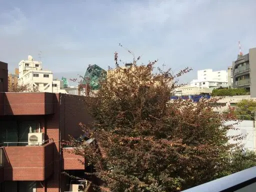 ザ・パークハウスグラン南青山の周辺環境