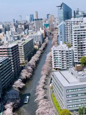 シティタワー目黒の周辺環境