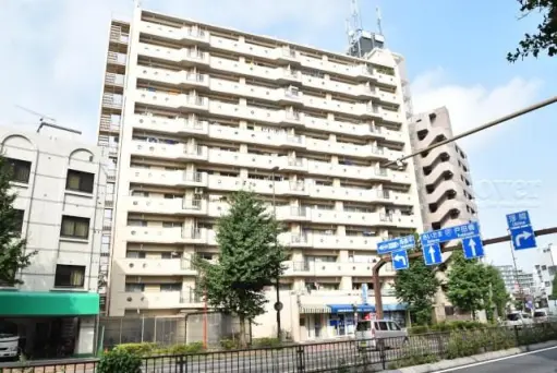 外観 蓮根台ダイヤマンドマンションの外観