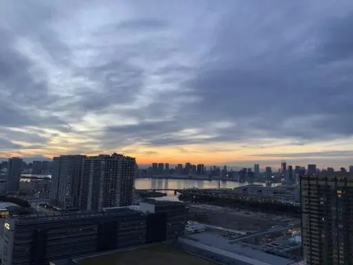 シティタワーズ東京ベイセントラルタワーの周辺環境