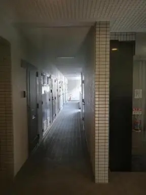 通路 ペガサスマンション目白の通路