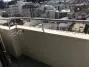 パレドール文京メトロプラザ１の周辺環境