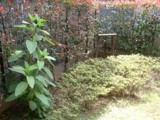 周辺環境 ドメイン東新宿の周辺環境