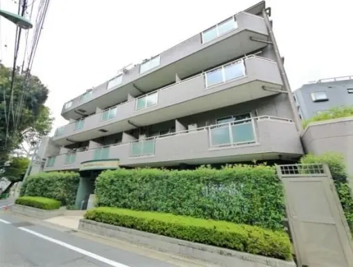 外観 ドメイン東新宿の外観