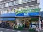 ブライズ祖師ヶ谷大蔵ＤＵＥの周辺環境