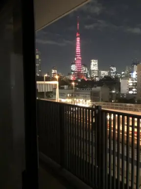 ザ・パークワンズ芝公園の周辺環境