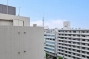 ブリリア亀戸の周辺環境