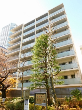 外観 エクセレントシティ白金高輪の外観