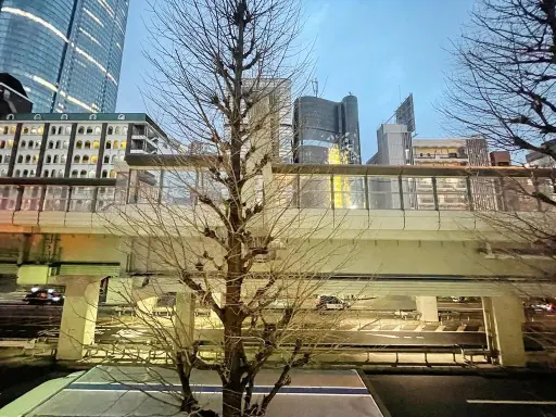 デュオ・スカーラ西麻布タワーＣＥＮＴＲＡＬの周辺環境