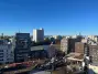 スカイコート渋谷神泉町の周辺環境