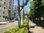 レアシス西日暮里の周辺環境