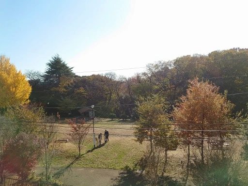 パークナード目白御留山の周辺環境