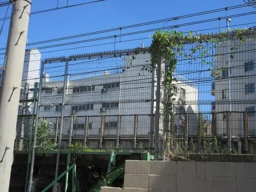 信濃町ハイツの周辺環境