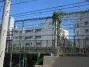 信濃町ハイツの周辺環境