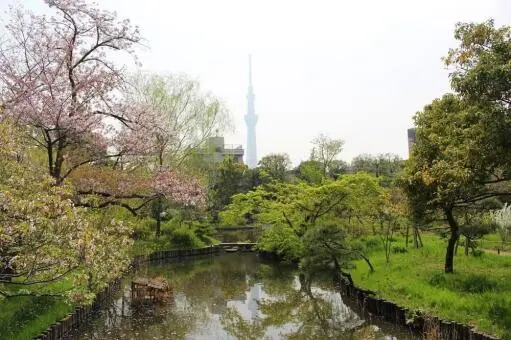 ライオンズマンション東向島の周辺環境