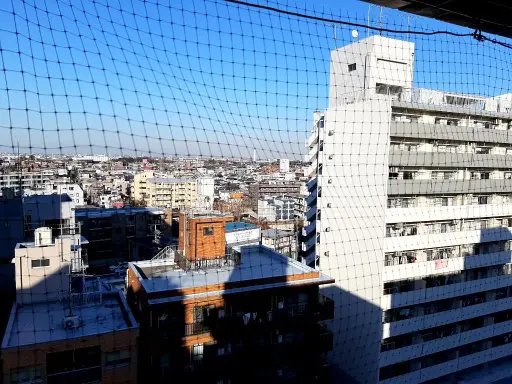 ハイネス成増の周辺環境