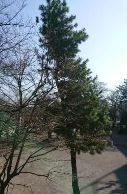 周辺環境 三田豊玉第二コーポの周辺環境