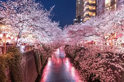 東山コーポラスの周辺環境