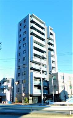 外観 ミルーナヒルズ金町の外観