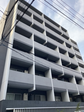 ステージグランデ向島の外観