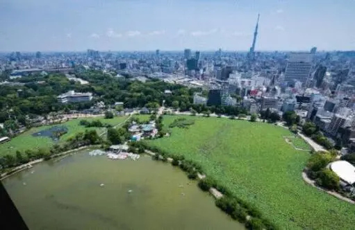 ブリリアタワー上野池之端の周辺環境
