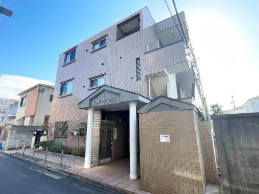 ビリジアン学芸大学の外観